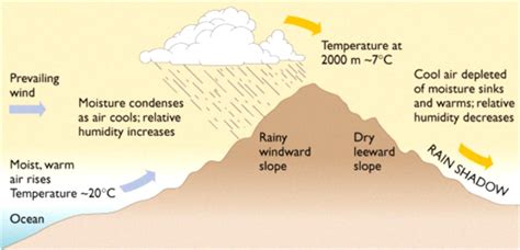 Types Of Humidity | itechguides