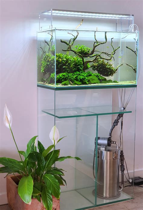 Wanted to share the whole setup of my tank, that keeps me busy and ...