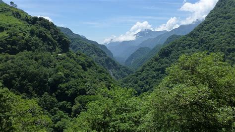 Taiwan Subtropical Evergreen Forests | One Earth