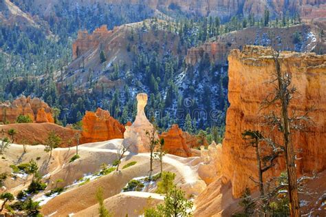 The ET-Hoodoo of Bryce Canyon National Park, Utah Stock Photo - Image of grass, called: 48531894