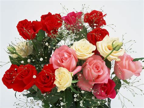 Romantic Flowers | FLOWERS WORLD