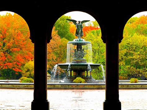 Central Park Experience: A Scenic & Historical Walking Tour ...