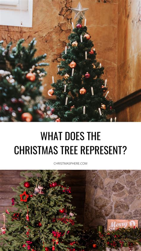 What Does The Christmas Tree Represent? | Christmas Tree Symbolism