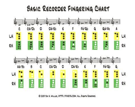 Simple recorder fingering chart - mallwest