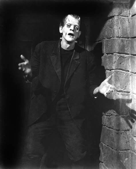 Frankenstein Stills - Classic Movies Photo (19760821) - Fanpop