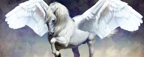 🔥 [100+] Pegasus Wallpapers | WallpaperSafari