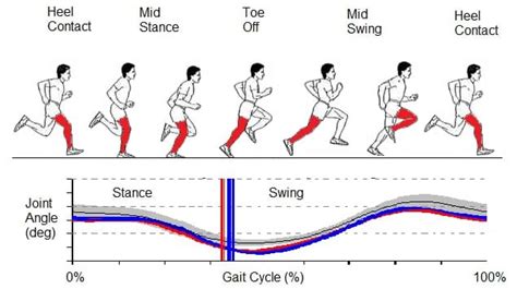 Identify the cause and risk of running injuries: 3D running biomechanics