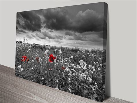 20 Best Red and Black Canvas Wall Art