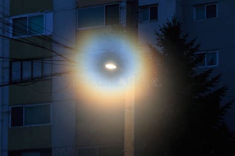 Street Light with Rainbow Colored Halo in the Morning Stock Photo ...