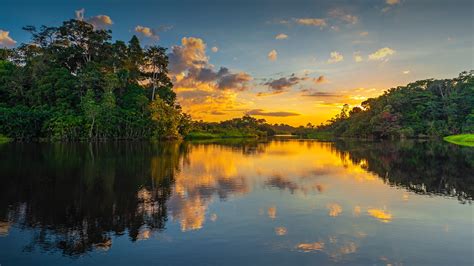 Sunset in the Amazon River Rainforest Basin, Yasuni National Park, Ecuador | Windows Spotlight ...