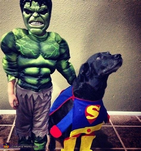 Super Dog Halloween Costume | DIY Costumes Under $35