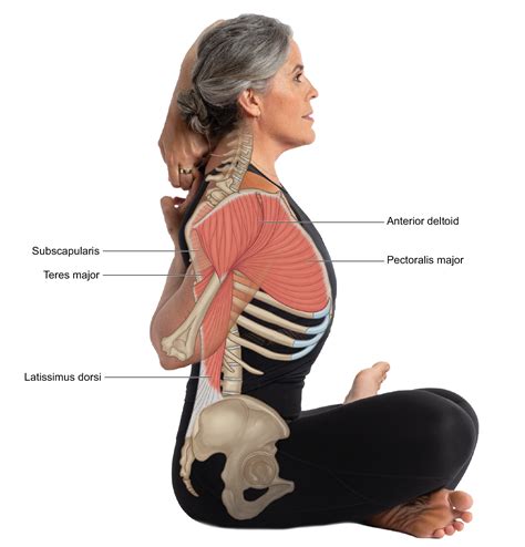 Shoulder Internal Rotation Manual Muscle Test