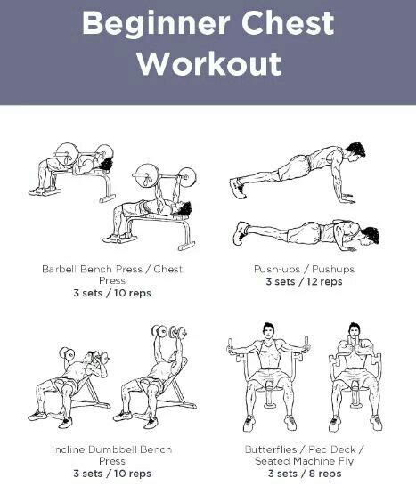 13+ Beginner Workout For Arms Chest Pics - arm and back workout