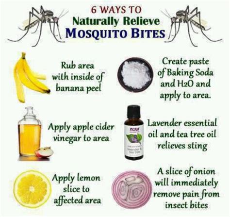 Mosquito Bite Relief Natural Mosquito Bite Remedy, Mosquito Bite Relief ...