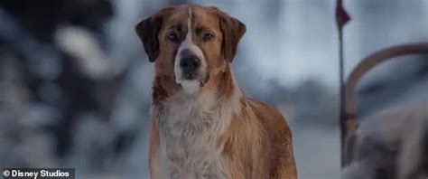 Harrison Ford and CGI-created dog Buck in The Call Of The Wild trailer ...