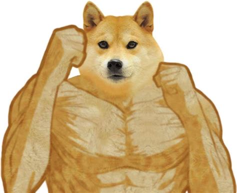 Buff Doge Blank Template - Imgflip