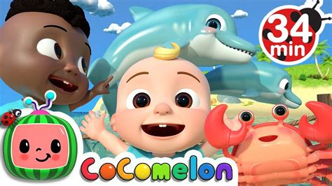 Sea Animal Song + More Nursery Rhymes & Kids Songs - CoComelon | สรุป ...