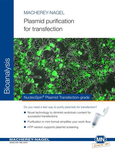 Plasmid purification for transfection - NucleoSpin® Plasmid ...