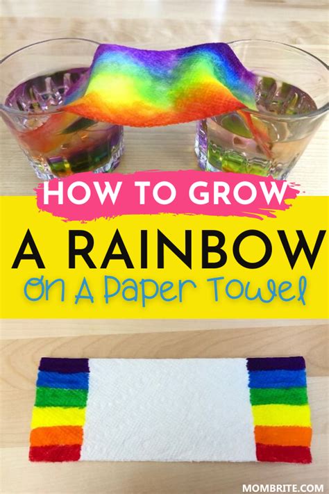 Easy Grow a Rainbow on Paper Towel Experiment | Preschool science activities, Science projects ...