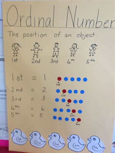 Ordinal Numbers Anchor Chart for Kids