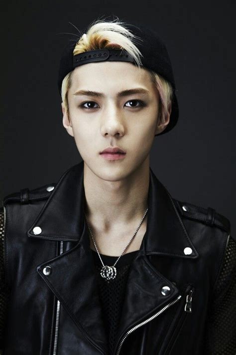 EXO's official Music Video "Wolf" portrait photoshoot of Sehun | Exo ...