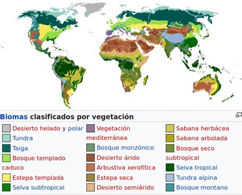 What is Vegetation? - D.I.Y. Gardens