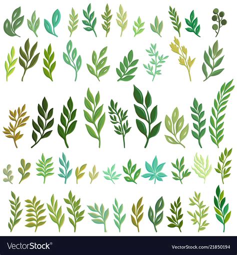 Drawing green leaves Royalty Free Vector Image