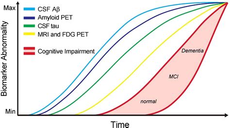 Frontiers | Perivascular spaces as a potential biomarker of Alzheimer’s disease