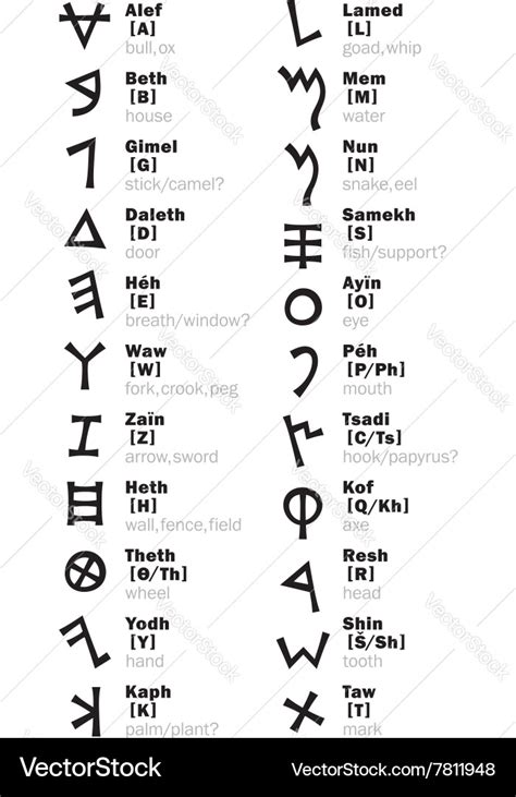 Phoenician alphabet and its transliteration Vector Image