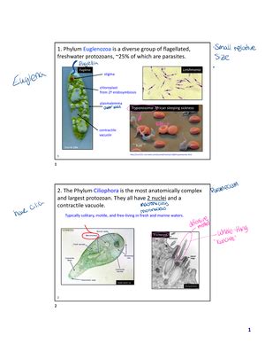 Ch 13 Arthropoda Anatomy - 1 Arthropoda ... rulers of the world en.wikipedia The aim of this ...