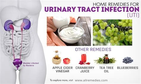 30 Natural Home Remedies for Uti Infections in Women & Men