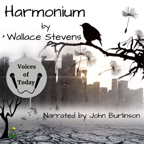 Stream Harmonium Sample from Voices of Today | Listen online for free ...