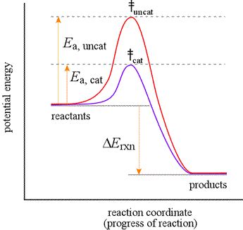 In a Catalyzed Reaction a Reactant Is Often Called a - GaelkruwHill