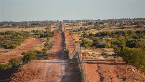 Ep 28 The Dingo Fence: Australian History