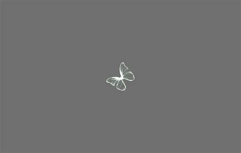 Minimalist Butterfly Wallpapers - Top Free Minimalist Butterfly ...