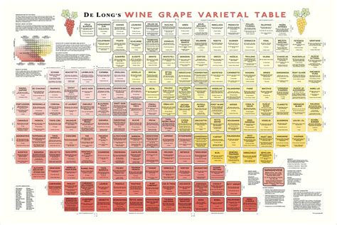 Wine Grape Varietal Table Poster - Napa General Store