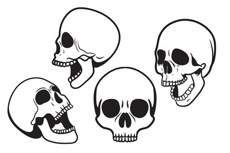 Set of skull drawings of human skull Vector | Skulls drawing, Human ...