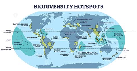 Biodiversity hotspots with life species variety on world map outline ...