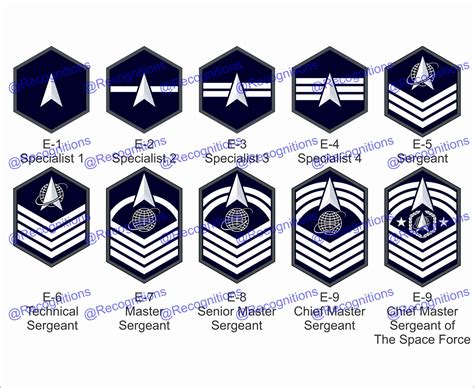 Unites States Space Force Enlisted Rank Vector File - Etsy
