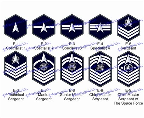 Unites States Space Force Enlisted Rank Vector File - Etsy Canada