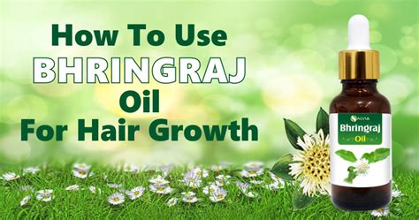 How to use Bhringraj oil for Hair Growth? – Shoprythm