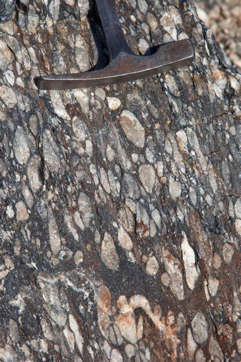 Metamorphosed conglomerate (vertical) – Geology Pics