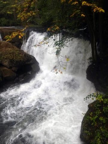 Discovering Whatcom Falls Park with Kids