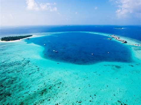 Reef & Relaxation: Protecting Maldives coral reefs | Environmental Travel