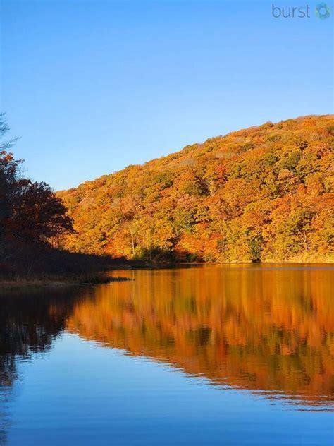 PHOTOS: Fall foliage across Western Pennsylvania – WPXI