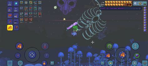 So i defeated the moon lord on expert mode : r/Terraria