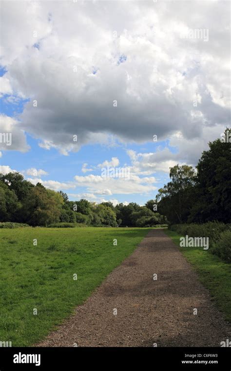 Epsom Common, Epsom, Surrey, England UK Stock Photo - Alamy