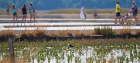 Solana Nin - Salt Museum (Croatia): Top Tips Before You Go (with Photos ...