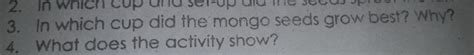 which cup did the mongo seeds grow best? why - Brainly.ph