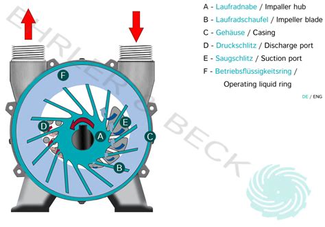 Liquid ring vacuum pumps - Ehrler and Beck